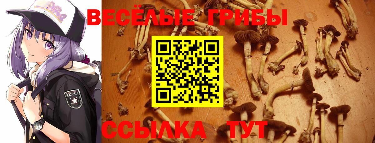 Галлюциногенные грибы мицелий  Псилоцибиновые грибы мухоморы  как найти   Юрга  Вход с VPN 