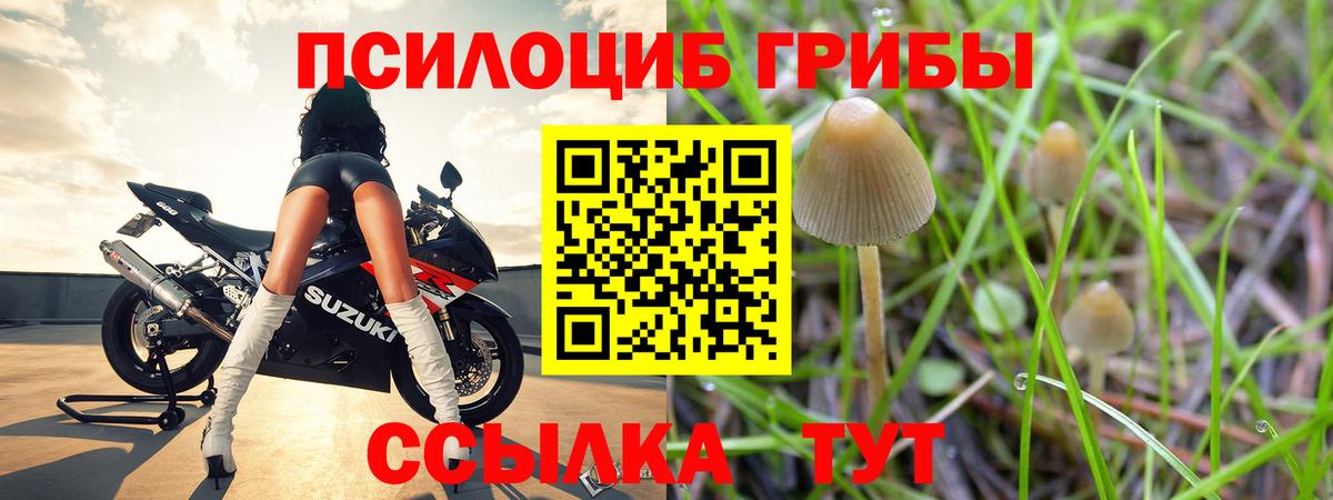 Галлюциногенные грибы Cubensis Юрга